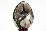 Septarian Dragon Egg Geode - Black Crystals #191493-2